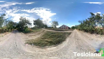 Păunești - Păunești