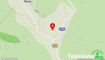 Raciu - Raciu