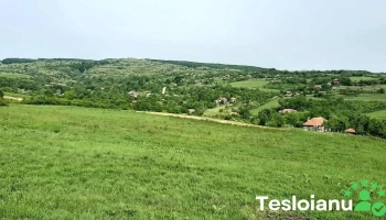 Racova - Racova