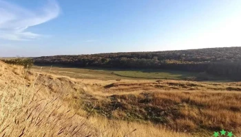 Radovan - Radovan
