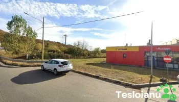 Radu professional auto center - Moreni 135300