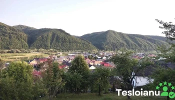 Rebrișoara - Rebrișoara
