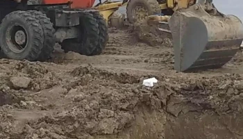 Recunoștința Prodcom Impex - România