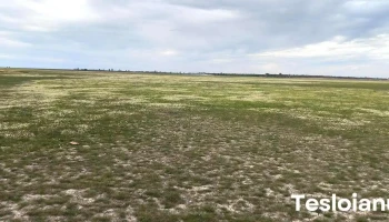 Rezervația Naturală Balta Amară - Amara