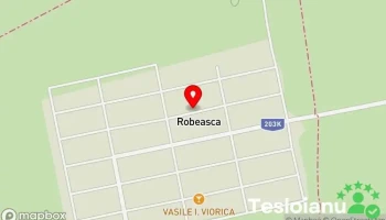 Robeasca - Robeasca
