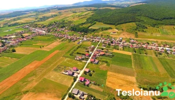 Românași - Românași