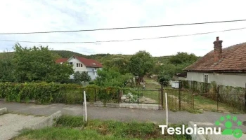 S.c. Calion Prod - Jibou 455200