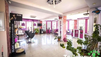 Salon Fuxia - Baia De Fier