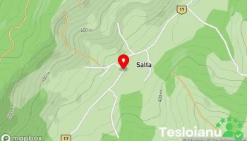 Sâlța - Sâlța