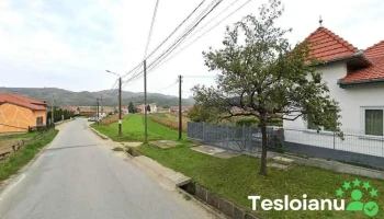 Savu Ligia Estela - Str. Principala, 390, Com. Sasciori, Alba
