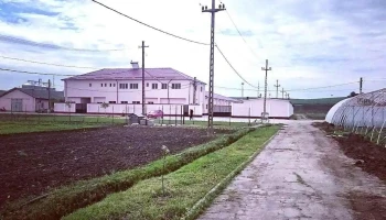 Sc Aurocom Srl - Peretu 147240