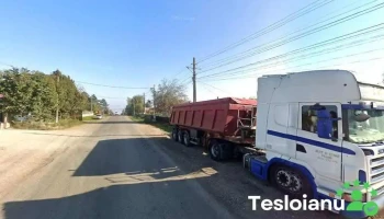 Sc Automotiv Colectiv Srl - România