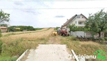 Sc Deea Si Alex Market Servicii Srl - Bătăşani