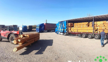 Sc Pal-Prodex Srl - România