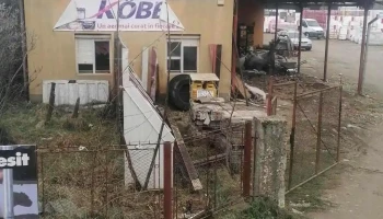 Sc Pavloris Srl - Braniştea 427010