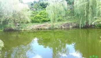Scorțeni - Scorțeni