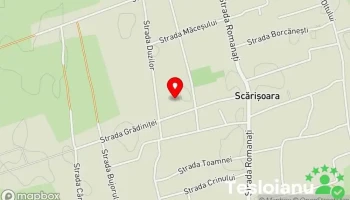 Scărișoara - Scărișoara