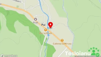 Service auto - Pui