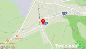 Service Auto - Sc Steaua de Vest Srl - Oravița