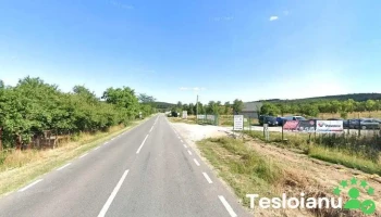 Service Frauto Mecanică - Diagnoza - Leleşti 210008