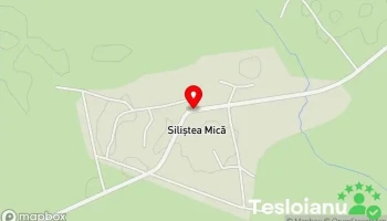 Siliştea Mică - Siliştea Mică