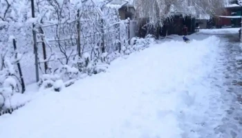 Siliștea - Siliștea