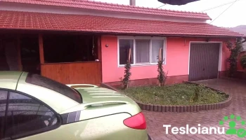 Sinelli - Teaca 427345