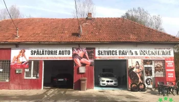 Spalatorie Vulcanizare Service Auto Albești - Albeștii Pământeni
