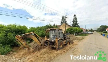 Srl - Peciu Nou