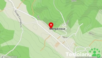 Stângăceaua - Stângăceaua