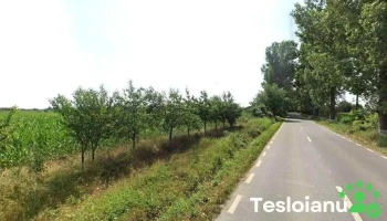 Stație Itp - Siliștea Snagovului 077117