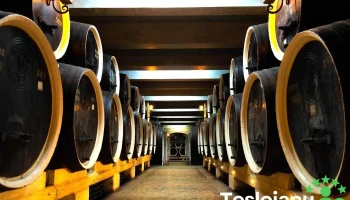 Stațiunea de Cercetare și Dezvoltare pentru Viticultură și Vinificație Pietroasa - Pietroasele