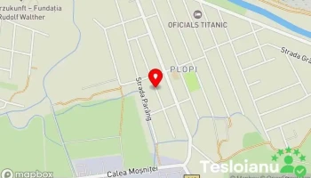 Strada Martir Nicolae Lăcătuş - Timișoara