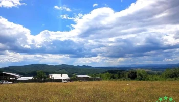 Strugari - Strugari