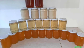 Stupina cu miere - Fălcoiu - Fălcoiu 237175
