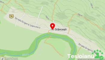 Stănceşti - Stănceşti