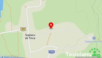 Suplacu de Tinca - Suplacu De Tinca