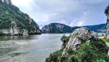 Sviniţa - Sviniţa
