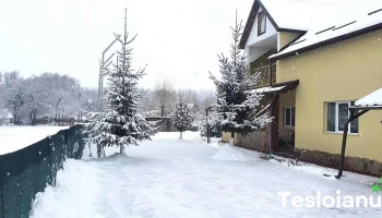 Săcălușești - Săcălușești