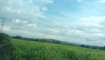 Săcălășeni - Săcălășeni