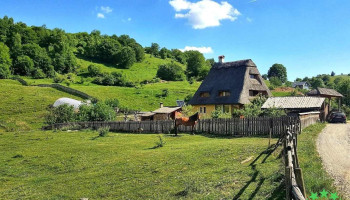 Sălicea - Sălicea