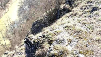 Sălnița - Sălnița