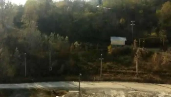 Sărari - Sărari