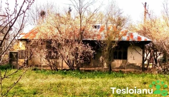 Talpa-Ogrăzile - Talpa-Ogrăzile