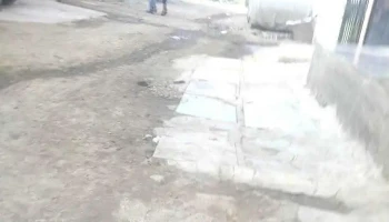Tamași - Tamași