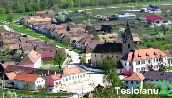Târnava - Târnava