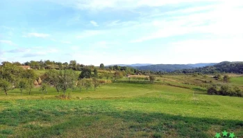 Târnova - Târnova