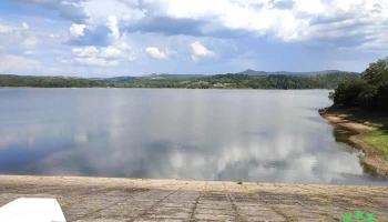 Tauț - Tauț