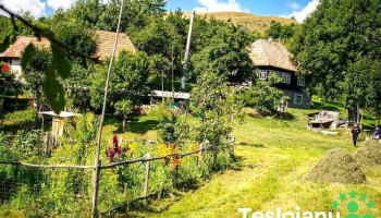 Tecșești - Tecșești