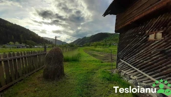 Telec - Telec